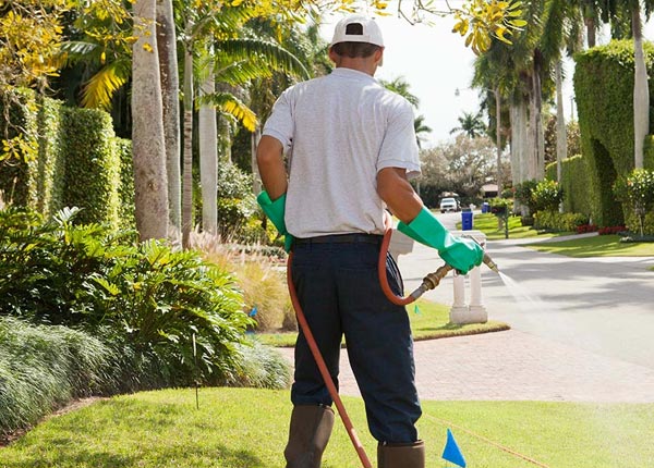 About Robson WV Pest Control